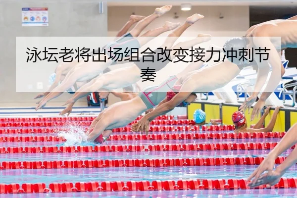 泳坛老将出场组合改变接力冲刺节奏